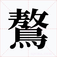 鷔字的字形和写法