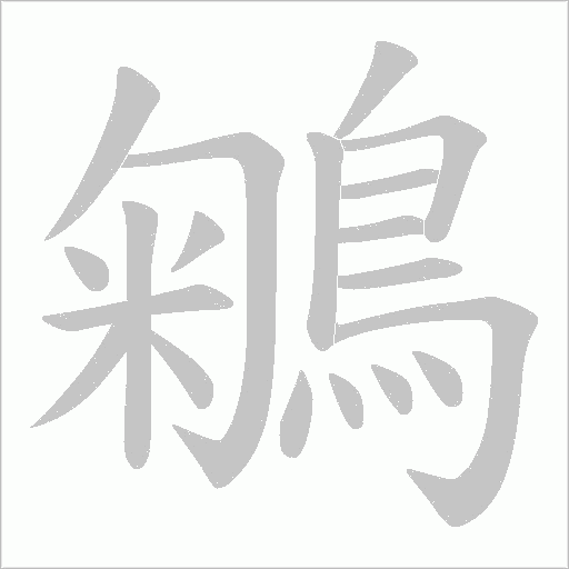 鵴字笔顺图
