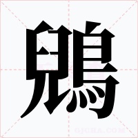 鶂字的字形和写法