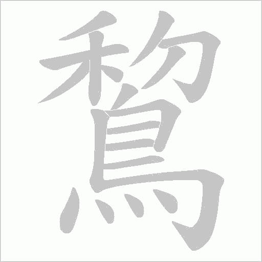 鵹字笔顺图