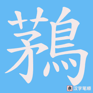 鶜字笔顺图