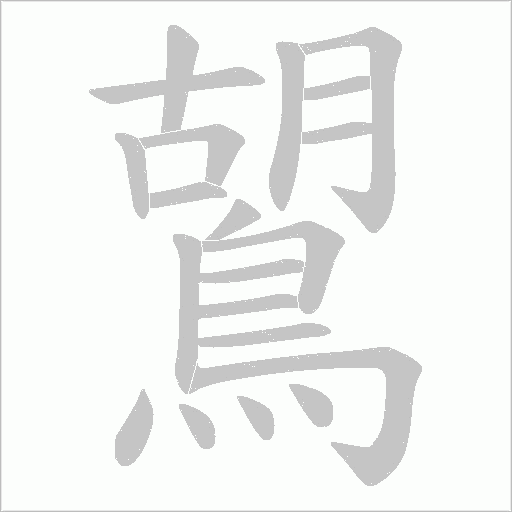 鶦字笔顺图