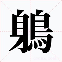 鵢字的字形和写法