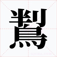 鵥字的字形和写法