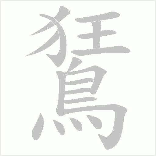 鵟字笔顺图