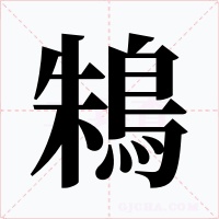 鴸字的字形和写法