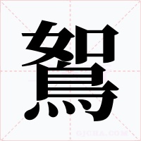 鴽字字形