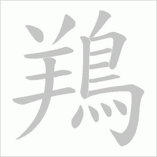 鴹字笔顺图