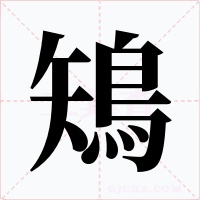 鴙字字形