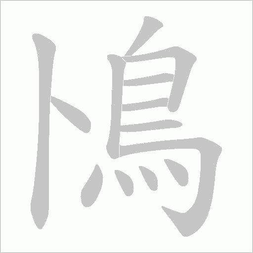 鳪字笔顺图