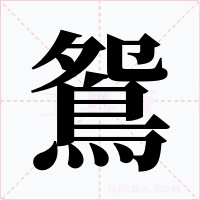 鴛字的字形和写法