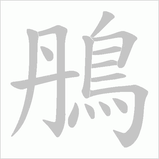 鴅字笔顺图