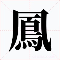鳳字的字形和写法