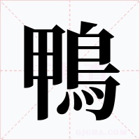 鴨字的字形和写法