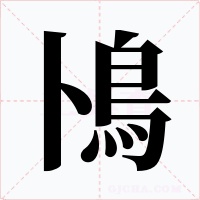 鳪字字形