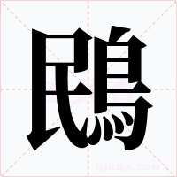 鴖字的字形和写法