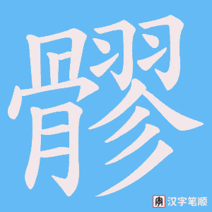 髎字笔顺图