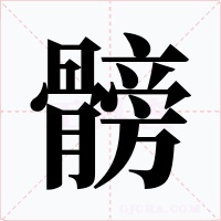 髈字字形
