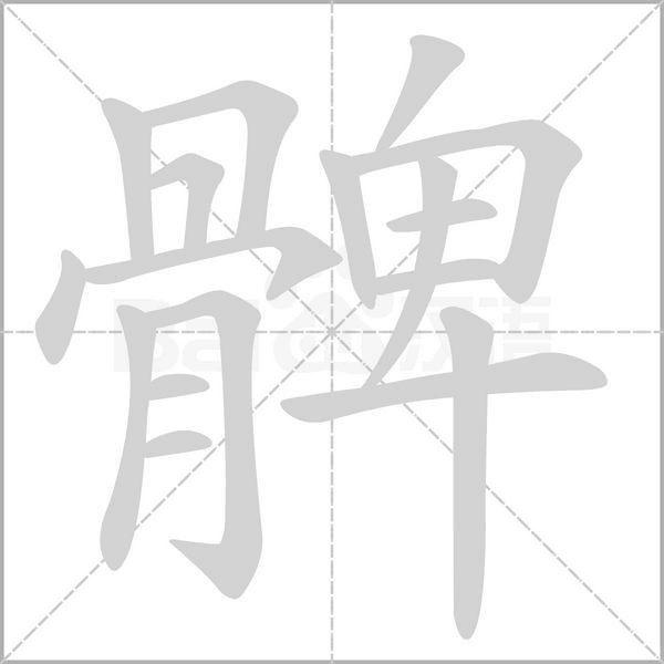 髀字笔顺图