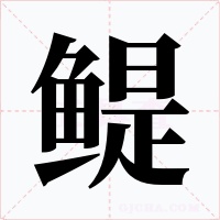 鳀字字形