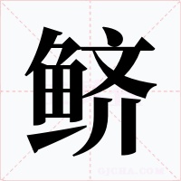 鲚字的字形和写法