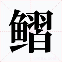 鳛字的字形和写法