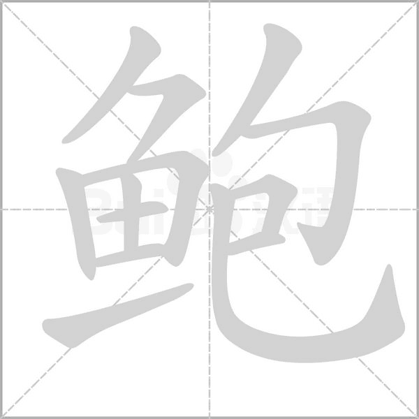 鲍字笔顺图