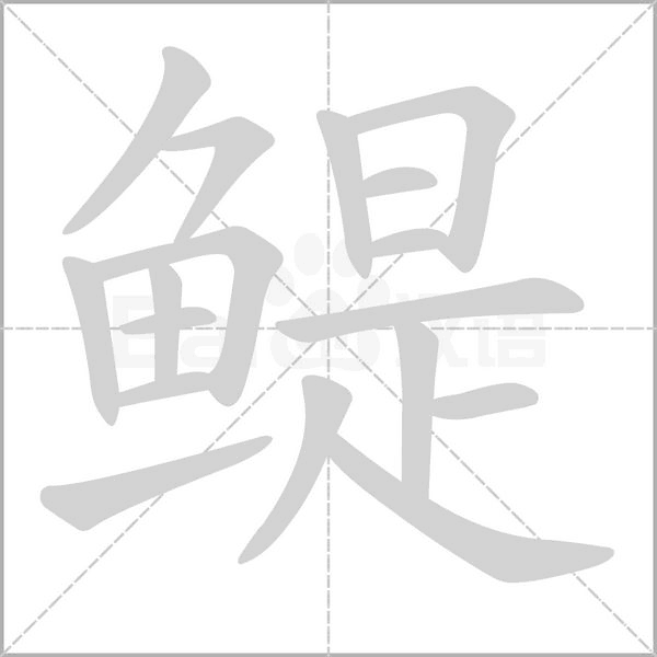 鳀字笔顺图