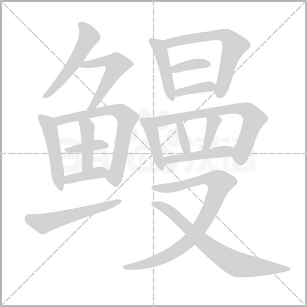 鳗字笔顺图