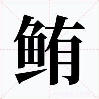 鲔字的字形和写法