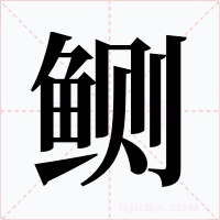 鲗字的字形和写法
