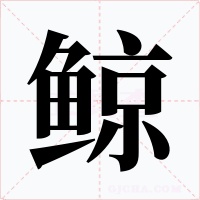 鲸字的字形和写法