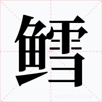 鳕字字形