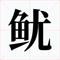 鱿字的字形和写法