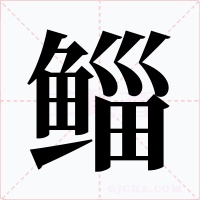 鲻字的字形和写法