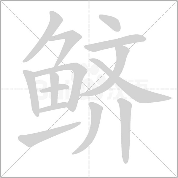 鲚字笔顺图