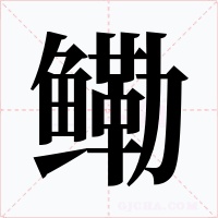 鳓字的字形和写法