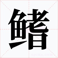 鳍字字形