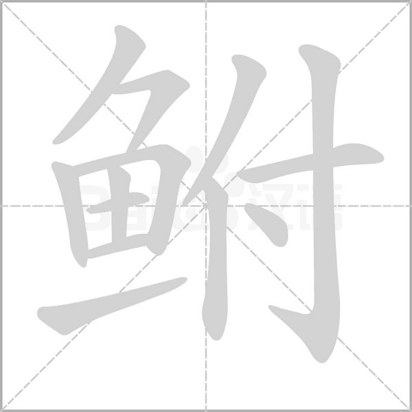 鲋字笔顺图