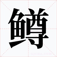 鳟字字形