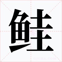鲑字字形