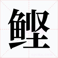 鲣字的字形和写法