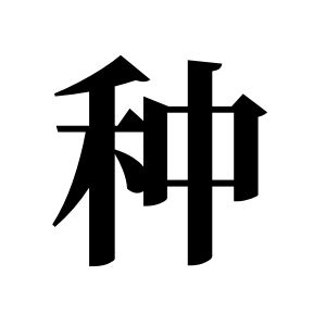 种姓图腾