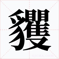 貜字的字形和写法