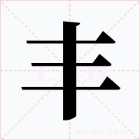 丰字字形