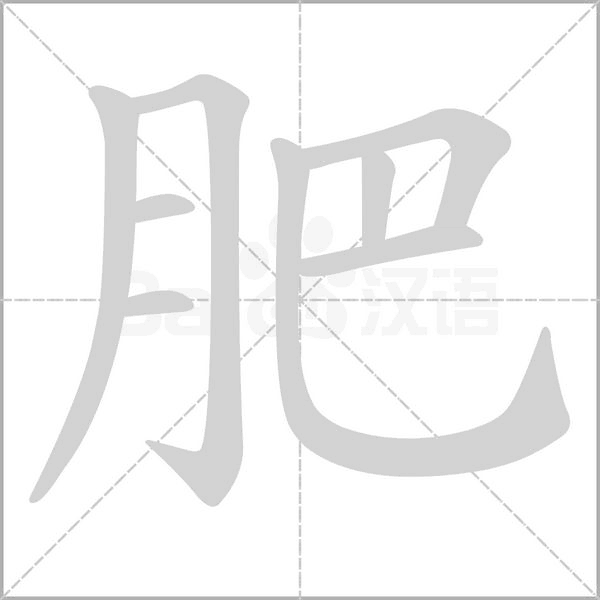 肥字笔顺图