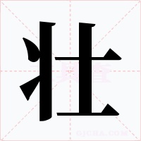 壮字的字形和写法