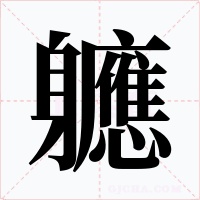 軈字字形