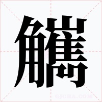 觽字的字形和写法