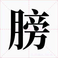 膀字字形